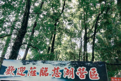 LINE_ALBUM_202675-桃園_260706_30