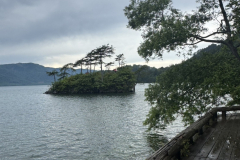 S__16957464_0