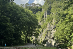 S__16957630_0