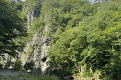 S__16957632_0