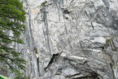 S__16957634_0