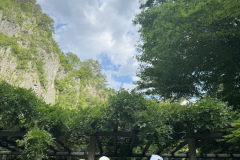 S__16957635_0