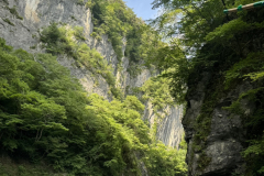 S__16957641_0